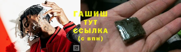 гидра Аркадак