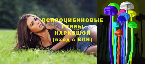 гидра Аркадак