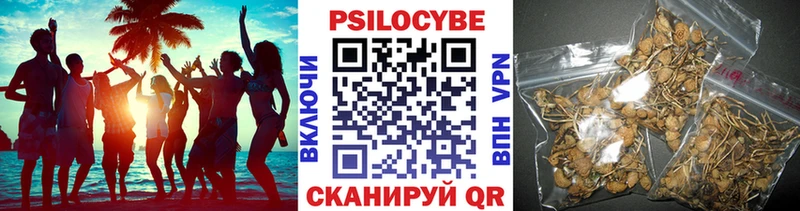Псилоцибиновые грибы мухоморы  даркнет сайт  Пущино 